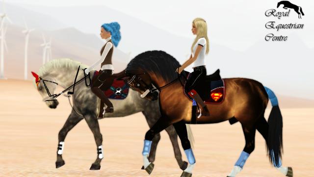 Wpis thesimscentre