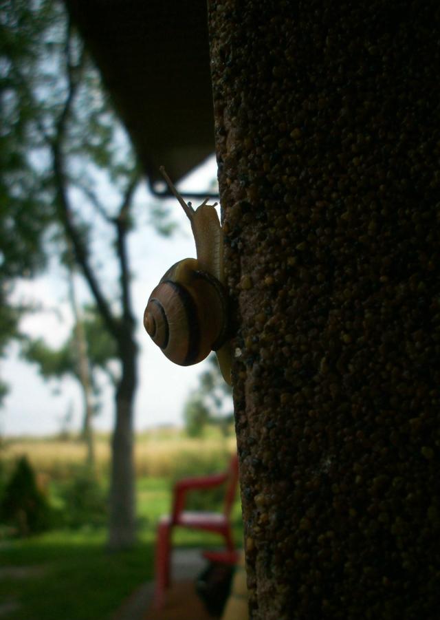 Wpis droplet0