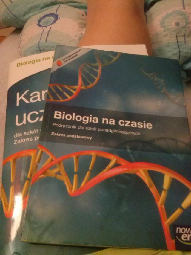 Wpis xolkkaa