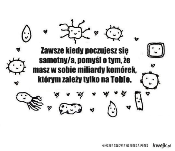 Wpis bziuumx33