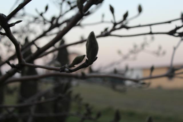 Wpis amatorskafotografia1