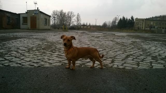 Jack