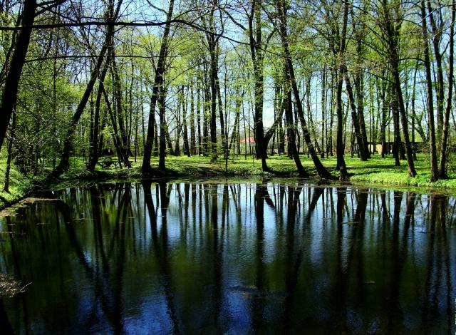 Wiea Radoci, Wiea Samotnoci