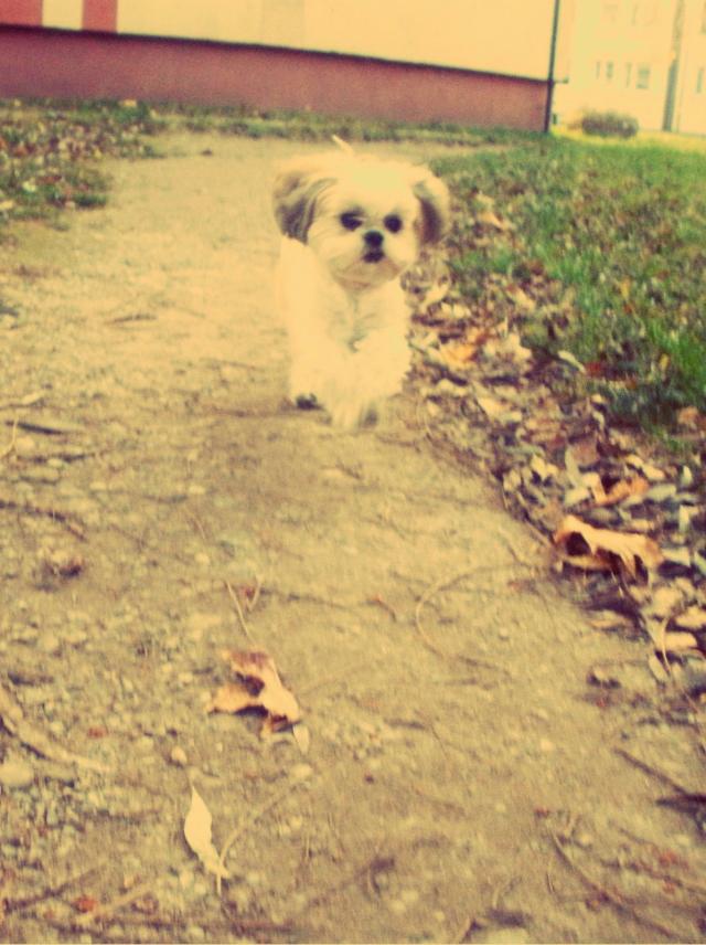 kocham j :D