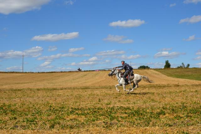 Komarw