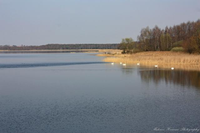 jeziorko