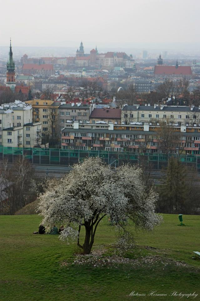 wiosna