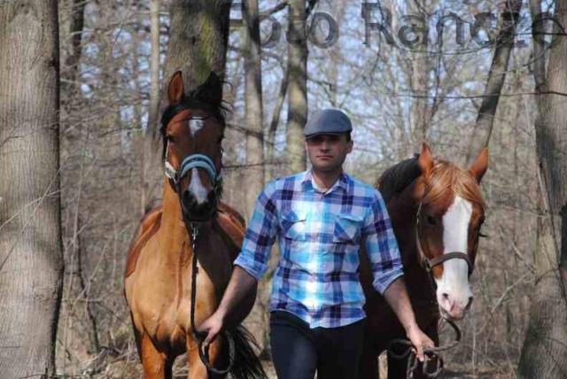 Wpis villagepeoplewithhorse