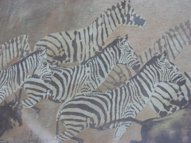 Zebry