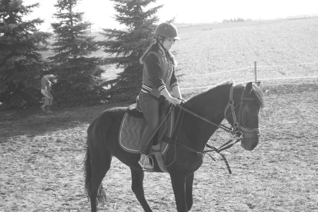 Gaja *.*