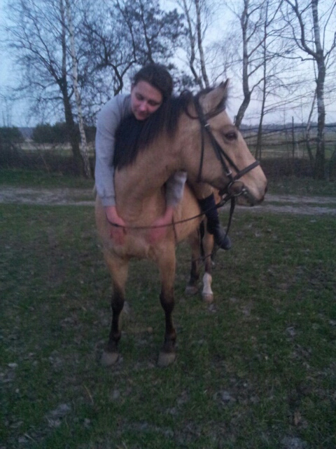 Wpis horsesworlds