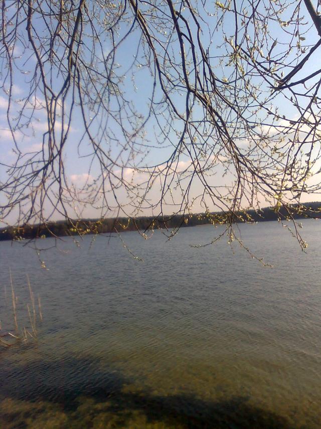 Wiosna