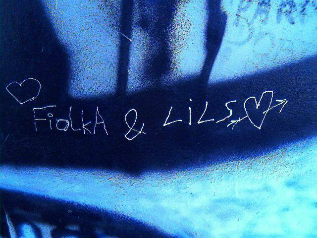 Wpis fiolka69