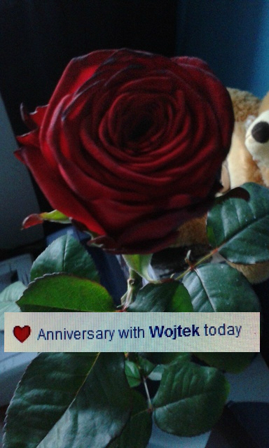 anniversary