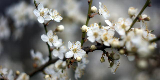 Wpis patryklesniewskiphoto