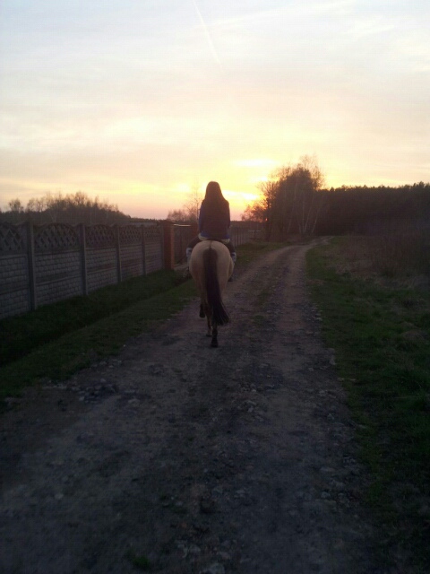 Wpis horsesworlds