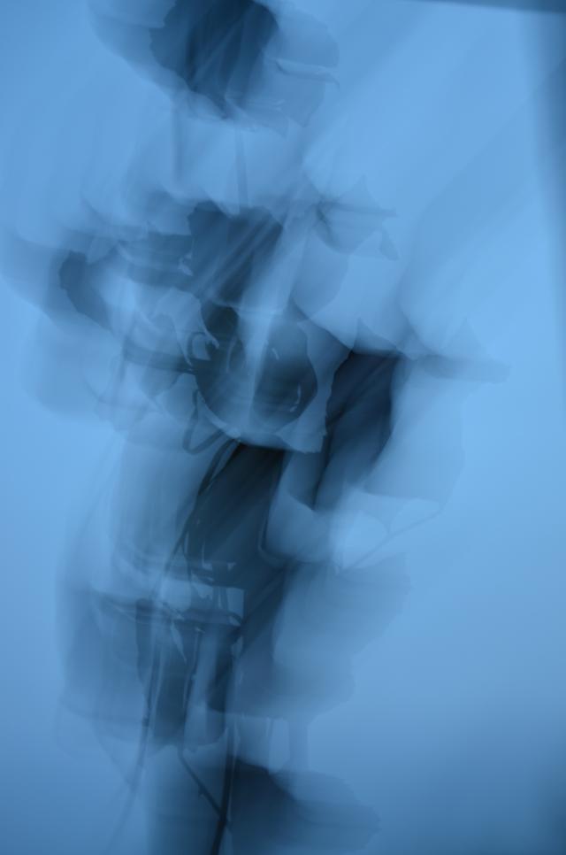 Wpis phototechnique