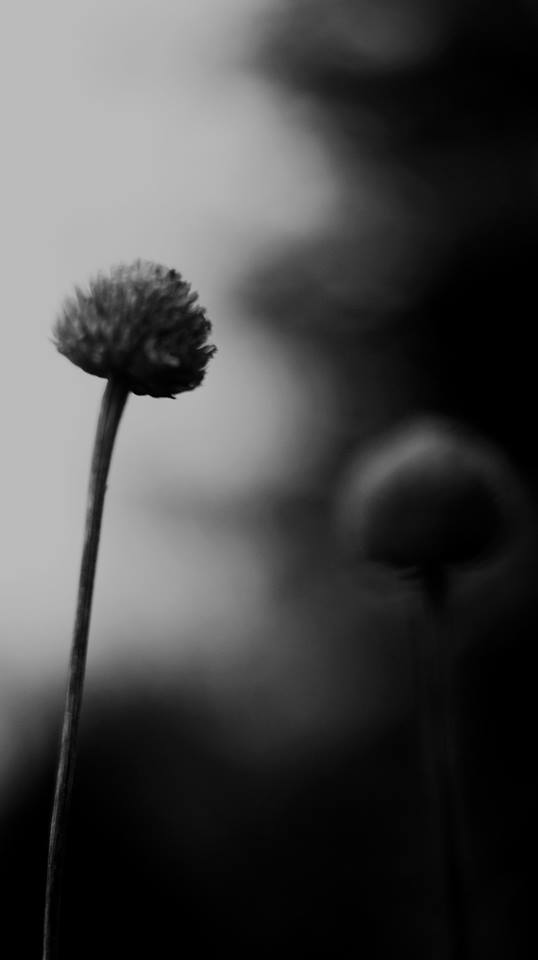 Wpis patryklesniewskiphoto