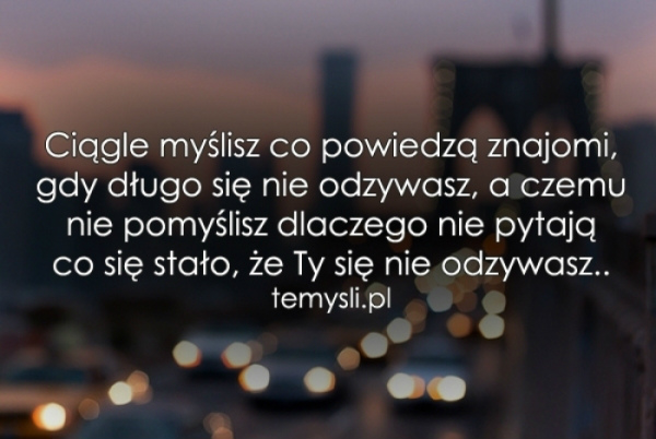 Wpis pluszowymis1