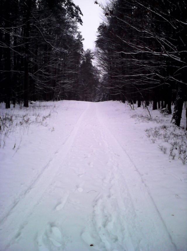 Winter