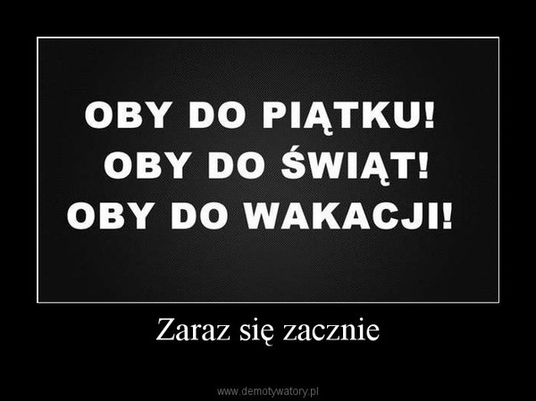Wpis sweetredstrawberry