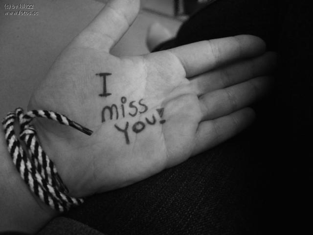 Wpis siip