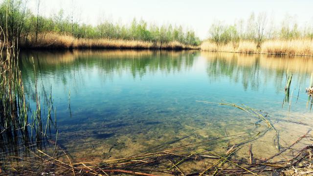 Water and peace.