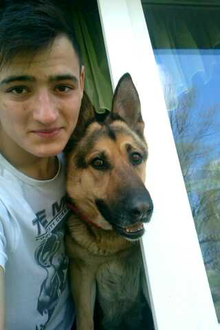 Bestia