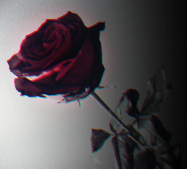 Wpis lovediamondsx