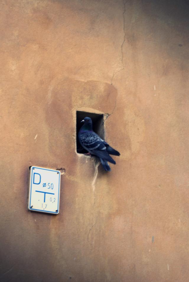 Let me in