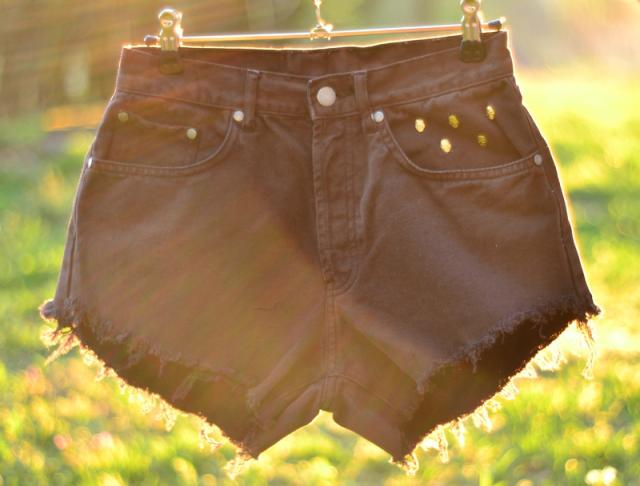 Wpis welovediy