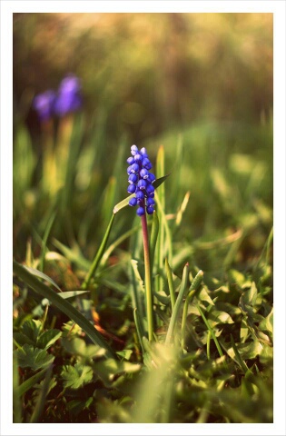 Wpis patryklesniewskiphoto