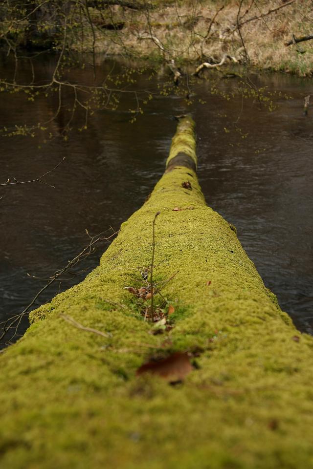 natura