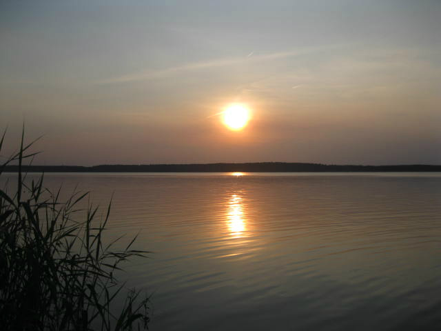 Boszkowo