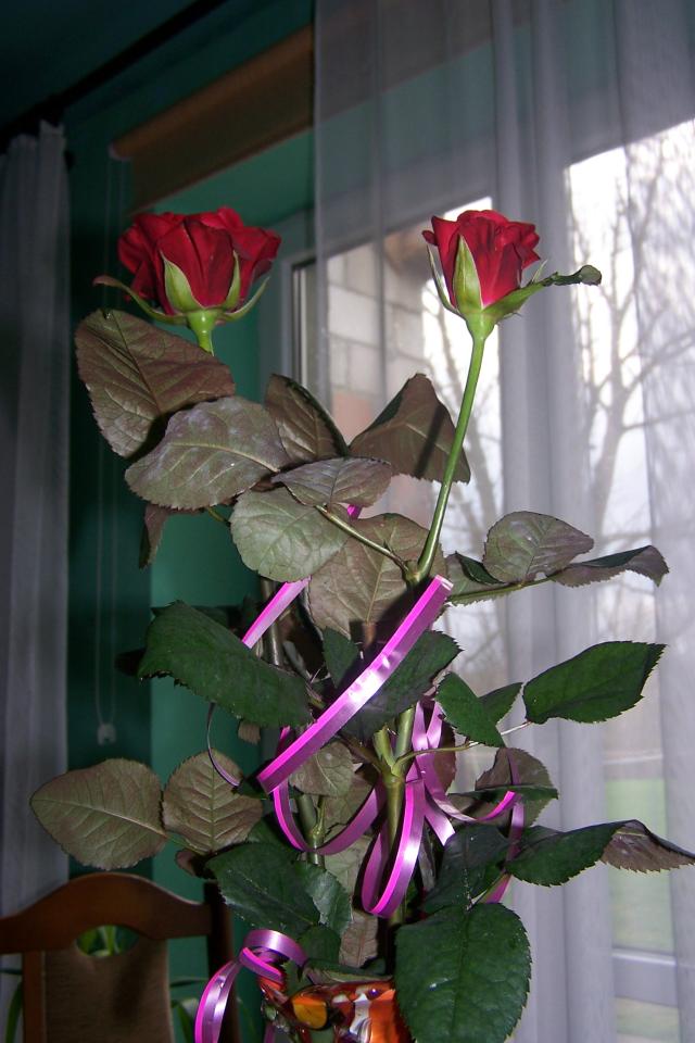 Wpis justyna14041999