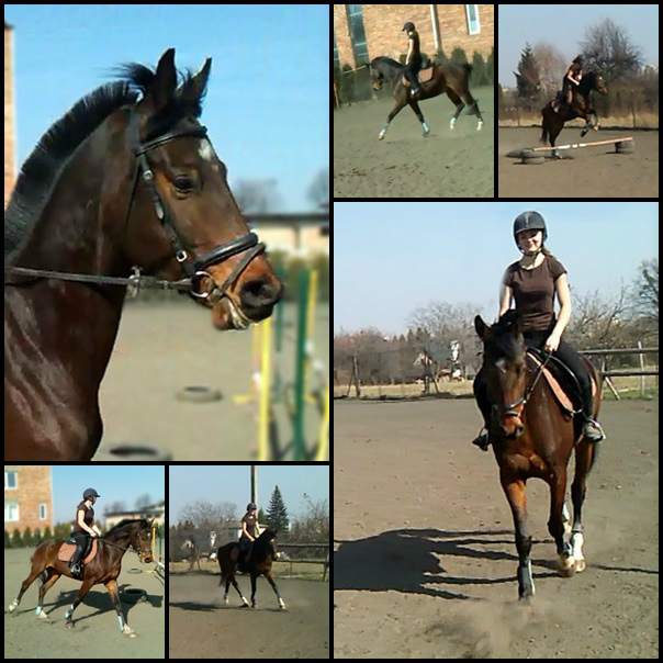 Jazda:)