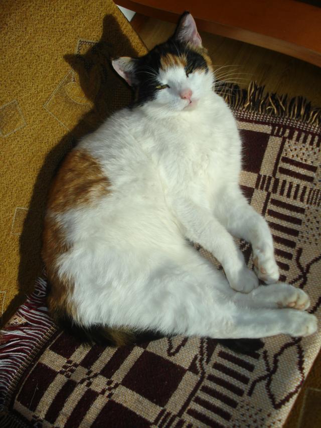 Wpis izadomel