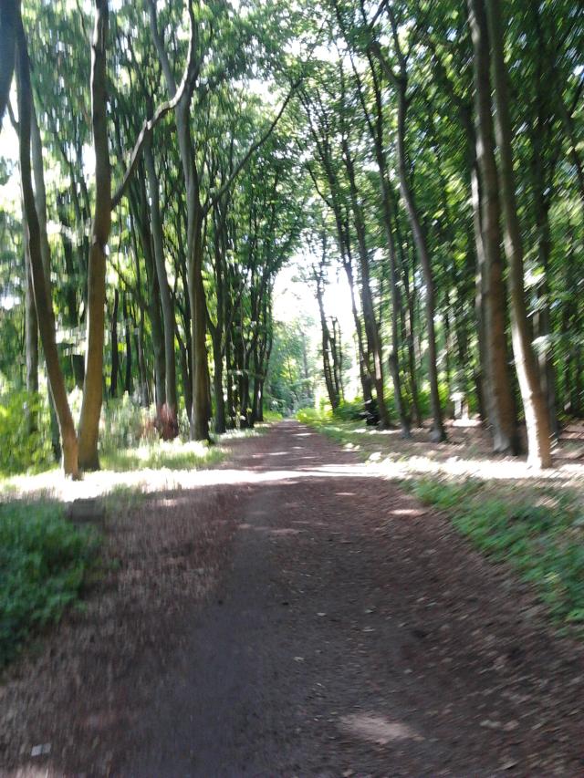 Bo wakacje