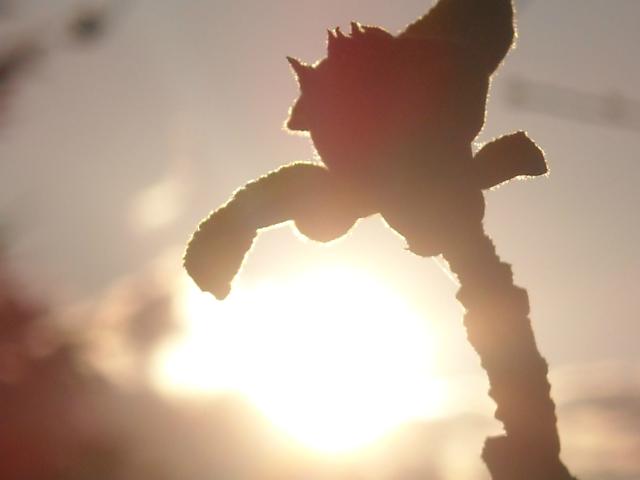 Spring:*