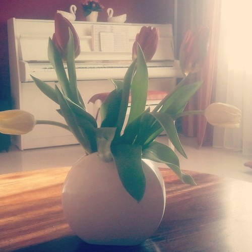 TULIP