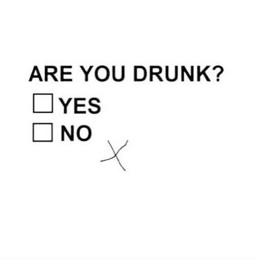 yes/no