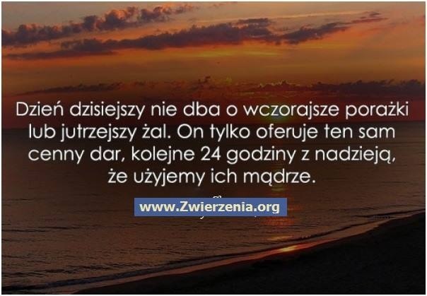 Wpis martynxxx