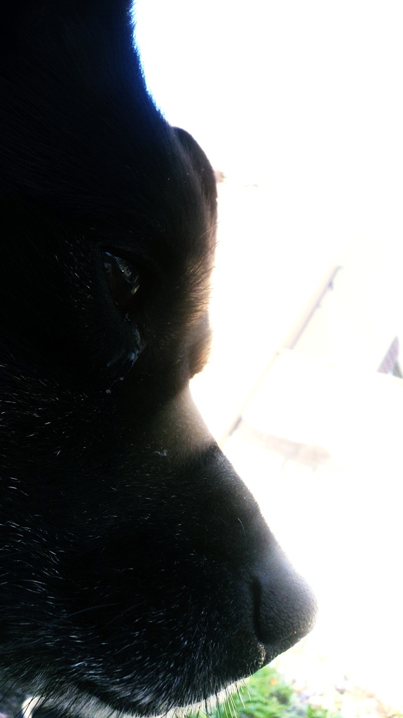 Wpis xxlilu95xx