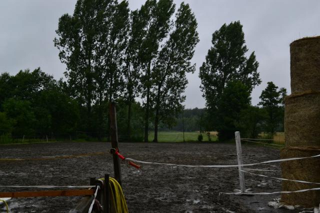 Widoczek 