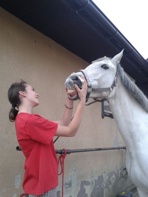 Umiech