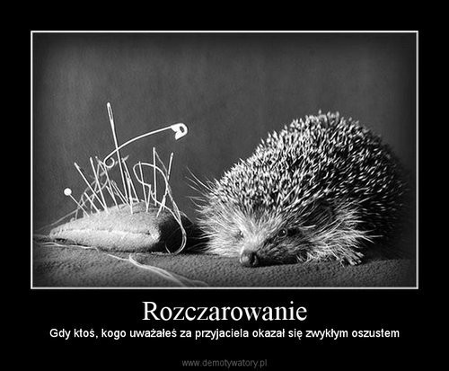 Iwona