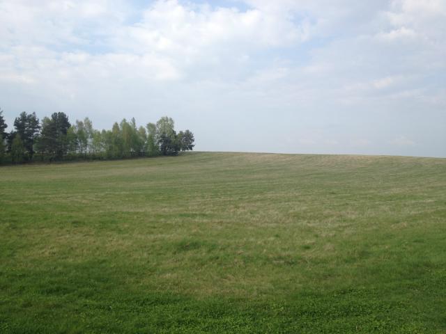 Sawnikowice 