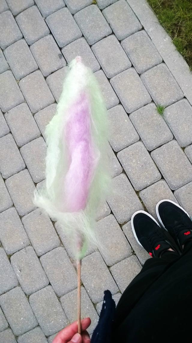 Wpis bongonomaria
