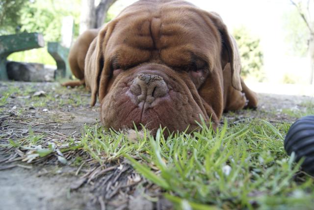 Zzz...