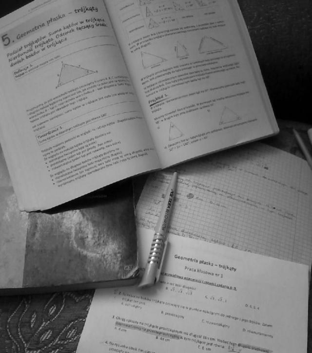 kochammatematyke